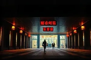 盐湖记事封面：干裂盐壳上的车辙与远山
